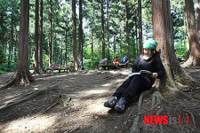 치유의 숲 찾은 관광객