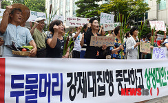 두물머리에 공사말고 농사짓자!