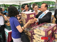 김천포도 전국 소비자 입맛 사로잡는다