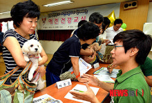 반려견 교육 솔루션 알려드려요