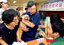 반려견 교육 솔루션 시행한 서초구