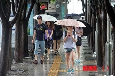 우산 쓴 대구 시민들