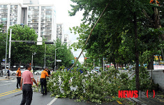 안전조치 실시하는 노원소방서