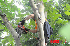 노원소방서, 태풍 볼라벤 북상에 따른 안전조치
