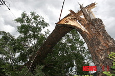 태풍 볼라벤 위력