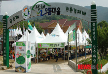 평창군 대하리, 산채재배로 부촌 이뤘다