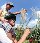 하늘공원 찾은 시민들