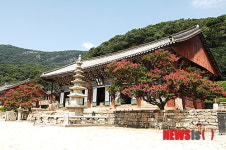 고창 선운사 꼭 가봐야할 국내 관광지 99 선정