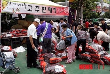 임실고추 마케팅행사 큰 호응