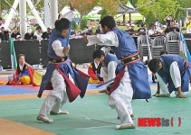 충주서 세계택견 진수 펼쳐