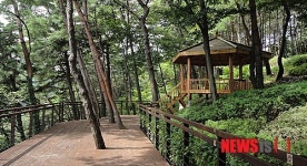 정선군, 비봉산 산림욕장 15일 개장