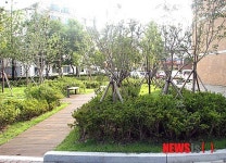 대전 보운초, 학교숲 우수사례로 선정