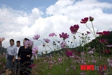 북한강변에 찾아 온 가을