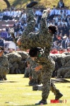 특공무술 시범
