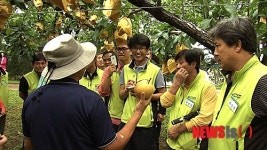 울타리 없는 녹동마을을 아시나요?