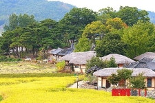 아산 외암민속마을 가을과 조상의 얼 느끼세요