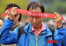 양계업 힘들다