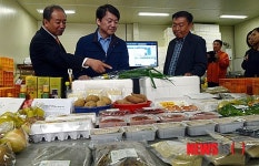 로컬푸드 둘러보는 안철수 대선 후보