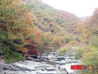 단풍 물든 운장산자연휴양림 계곡