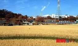 구미 피해지역, 특별재난지역 결정