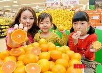 이마트 맛있는 밀감 드세요