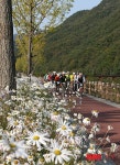 국화길 따라 라이딩