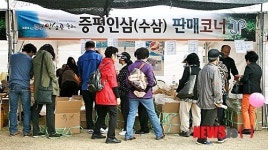붐비는 증평인삼 판매장