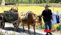 소달구지 타는 어린이들