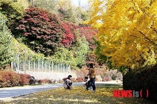안동댐 인근 가을 단풍 절정
