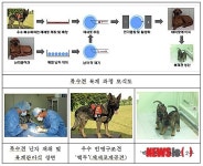 특수목적견 생산 과정