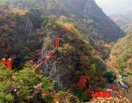 강천산 단풍 속 현수교를 건너는 등산객