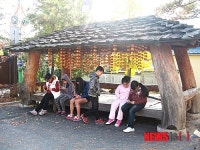 영동 추풍령면사무소 곶감 원두막 인기