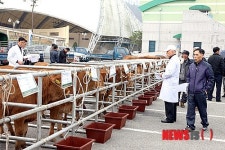 제17회 무주군 반딧불 한우 경진대회