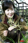 서귀포 상효동한란자생지, 제주 한란 만개