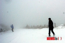 소백산 연화봉 가는 길