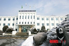 강원도, 기초생활업무 평가 우수 시·군 최다