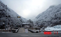 첫 눈 맞은 청량사 입구