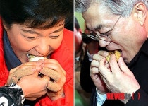 금강산도 식후경