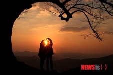 부여 성흥산 ‘사랑나무’ 예술적 자태 화재