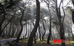 [뉴시스아이즈]자! 떠나자-경남 거창 동호마을 나들이