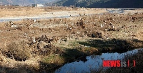 쓰레기 천국 밀양 수질을 자랑마라