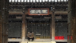 서설(瑞雪)에 인터넷 삼매경