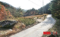 [클릭]충북에만 중앙탑 둘…너도나도 국토 중앙