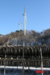 바람이 명작 황태