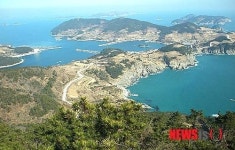 통영시, 섬에 테마가 있는 산림 조성