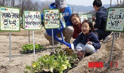 춘천, 미군부대 캠프페이지 주말농장 분양