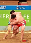2013 설날장사씨름대회 백두장사 결정전