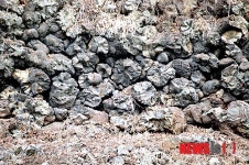 포천 아우라지 베개용암 천연기념물 지정