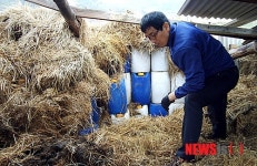 공업용 무기산 불법 구입, 김 양식업자 22명 검거