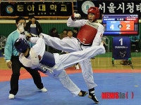 태권도 국가대표선수 선발 최종대회